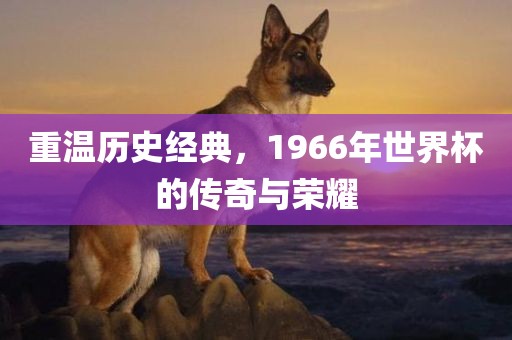 重温历史经典，1966年世界杯的传奇与荣耀