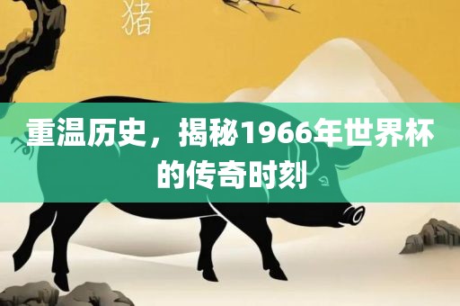 重温历史，揭秘1966年世界杯的传奇时刻漯河市盈旭机械设备有限公司