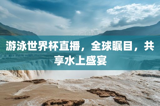 游泳世界杯直播，漯河市盈旭机械设备有限公司全球瞩目，共享水上盛宴