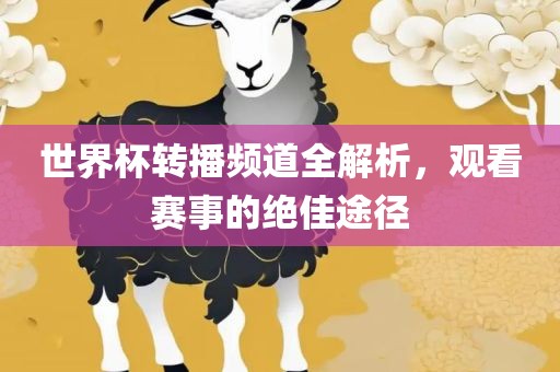 世界杯转播频道全解析，观看赛事的绝佳途径