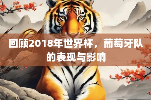 回顾2018年世界杯，葡萄牙队的表现与影响