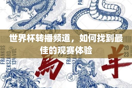 世界杯转播频道，如何找到最佳的观赛体验