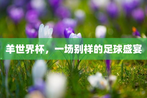 羊世界杯，一场别样的足球盛宴
