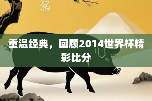 重温经典，回顾2014世界杯精彩比分