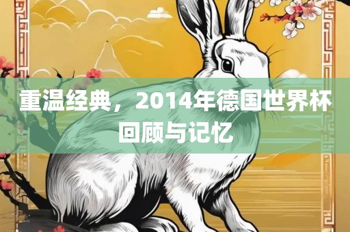 重温经典，2014年德国世界杯回顾与记忆
