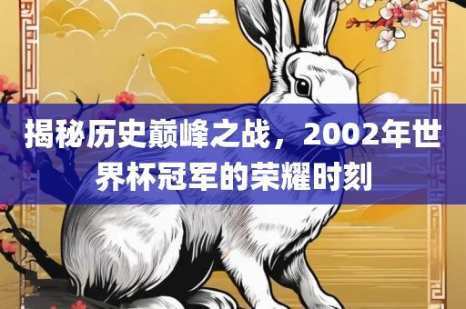 揭秘历史巅峰之战，2002年世界杯冠军的荣耀时刻漯河市盈旭机械设备有限公司
