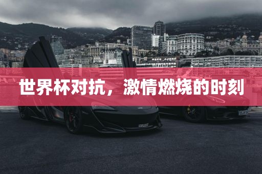 世界杯对抗