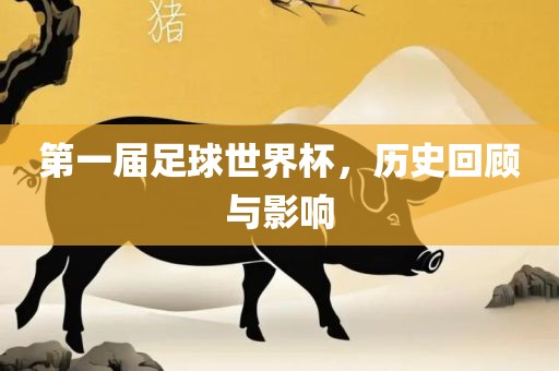第一届足球世界杯，历史回顾与影响漯河市盈旭机械设备有限公司