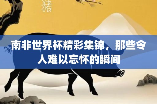 南非世界杯精彩集锦，那些令人难以忘怀的瞬间