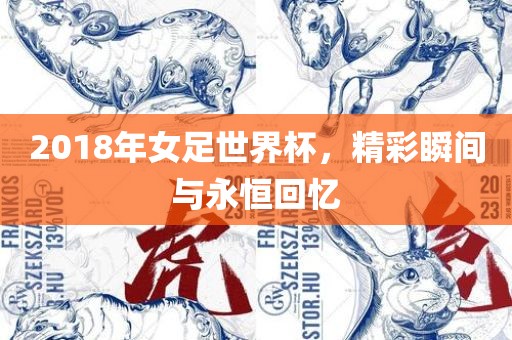 女足世界杯 第4页