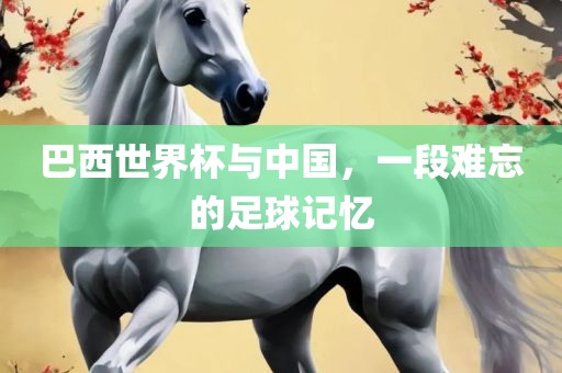 巴西世界杯与中国，一段难忘的足球记忆漯河市盈旭机械设备有限公司