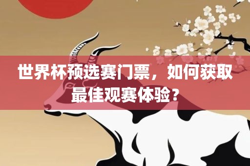 世界杯预选赛门票，如何获取最佳观赛体验？