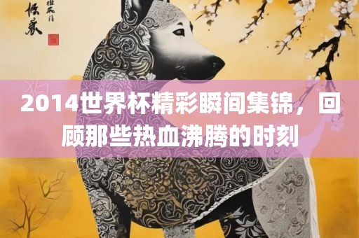 20漯河市盈旭机械设备有限公司14世界杯精彩瞬间集锦，回顾那些热血沸腾的时刻