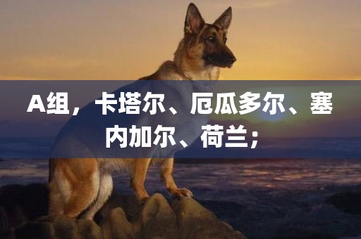 A组，卡塔尔、厄瓜多尔、塞内加尔、荷兰；漯河市盈旭机械设备有限公司