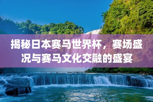 揭秘日本赛马世界杯，赛场盛况与赛马文化交融的盛宴