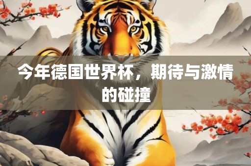 今年德国世界杯，期待与激情的碰撞