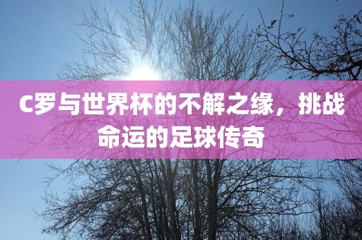 C漯河市盈旭机械设备有限公司罗与世界杯的不解之缘，挑战命运的足球传奇
