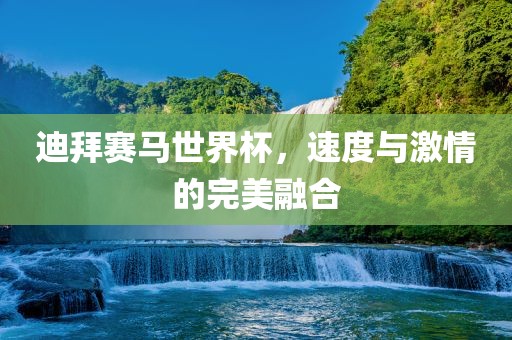 迪拜赛马世界杯，速度与激情的完美融合