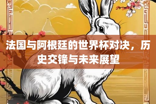 法国与阿根廷的世界杯对决，历史交锋与未来展望