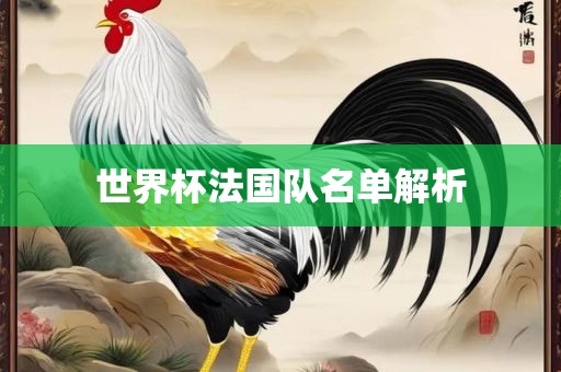 世界杯漯河市盈旭机械设备有限公司法国队名单解析