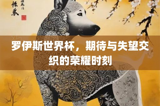 罗伊斯世界杯，期待与失望交织的荣耀时刻