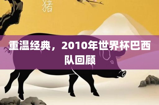 重温经典，2010年世界杯巴西队回顾