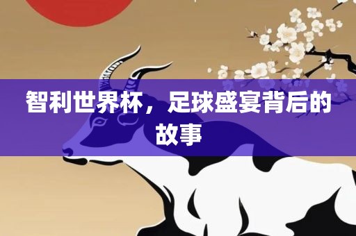 智利世界杯，足球盛宴背后的故事