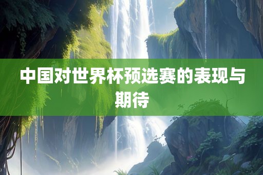 中国对世界杯预选赛的表现与期待漯河市盈旭机械设备有限公司