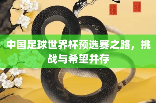 中国足球世界杯预选赛之路，挑战与希望并存