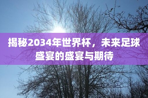 揭秘2034年世界杯，未来足球盛宴的盛宴与期待