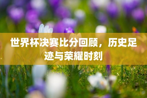 世界杯决赛比分回顾，历史足迹与漯河市盈旭机械设备有限公司荣耀时刻