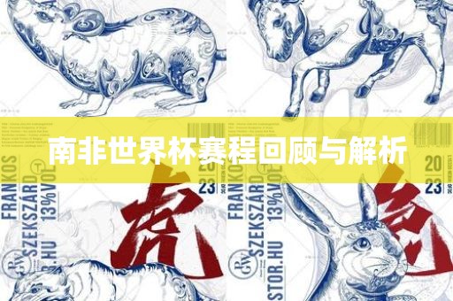 南非世界杯赛程回顾与解析