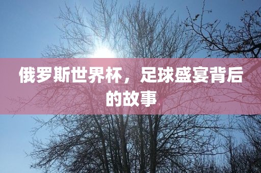 俄罗斯世界杯，足球盛宴背后的故事漯河市盈旭机械设备有限公司