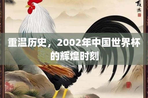 重温历史，2002年中国世界杯的辉煌时刻