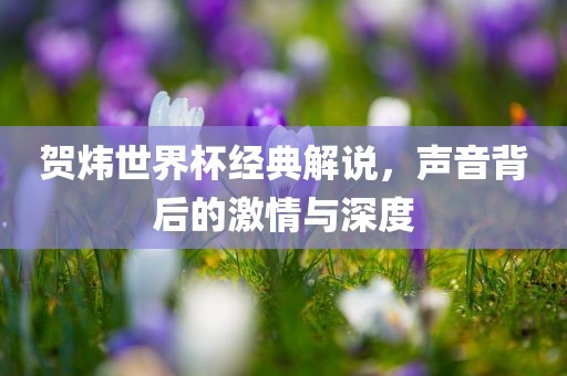 贺炜世界杯经典解说，声音背后的激情与深度