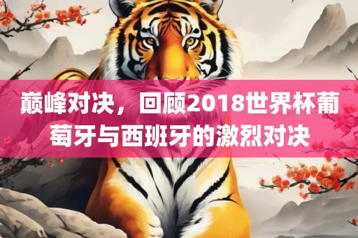 巅峰对决，回顾2018世界杯葡萄牙与西班牙的激烈对决漯河市盈旭机械设备有限公司
