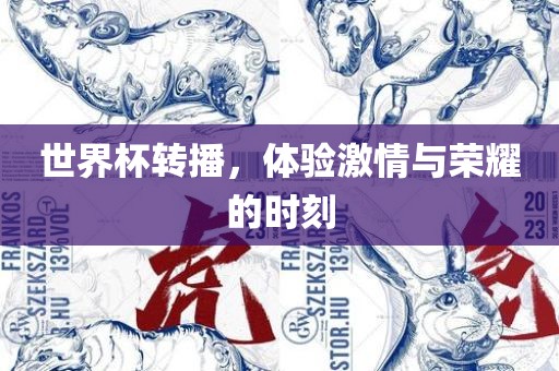 世界杯转播，体验激情与荣耀的时刻