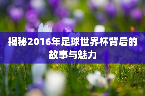 揭秘2016年足球世界杯背后的故事与魅力漯河市盈旭机械设备有限公司