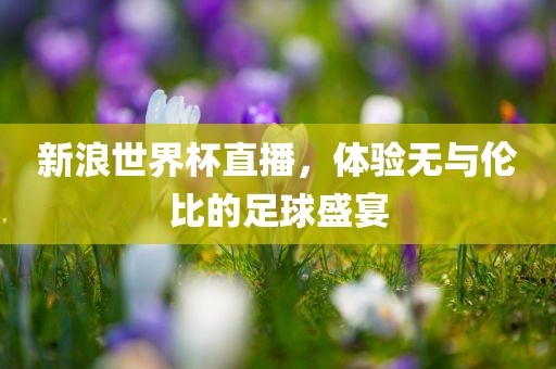 世界杯直播 第8页