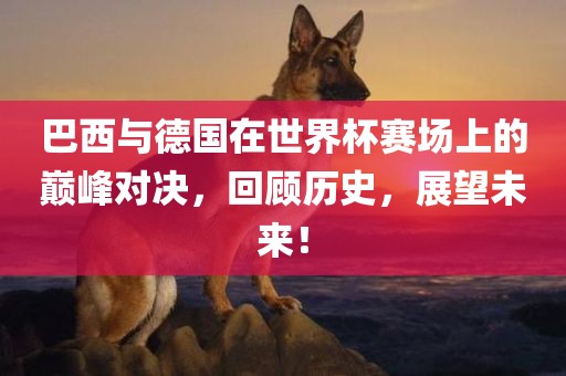 巴西与德国在世界杯赛场上的巅峰对决，回顾历史，展望未来！漯河市盈旭机械设备有限公司