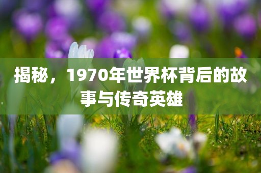 揭秘，1970年世界杯背后的故事与传奇英雄