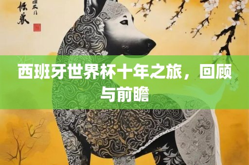 西班牙世界杯十年之旅，回顾与前瞻