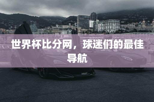 世界杯比分网，球迷们的最佳导航