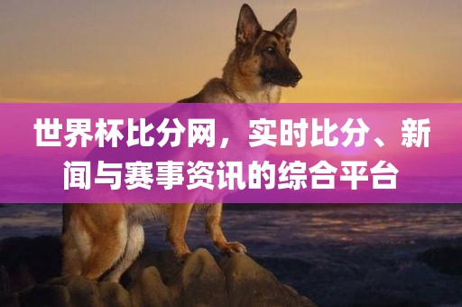 世界杯比分网，实时比分、新闻与赛事资讯的综合平台