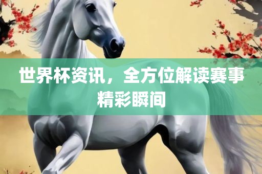 世界杯资讯，全方位解读赛事精彩瞬间