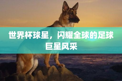 世界杯球星，闪耀全球的足球巨星风采