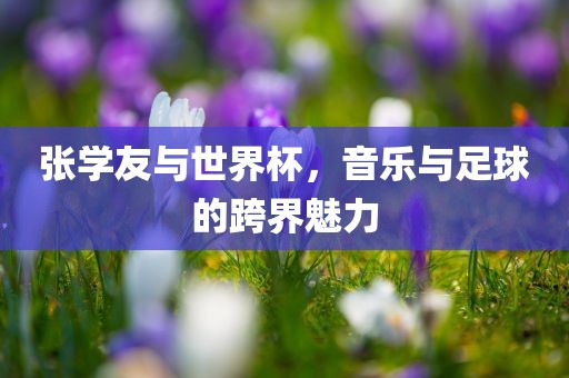 张学友与世界杯，音乐与足球的跨界魅力