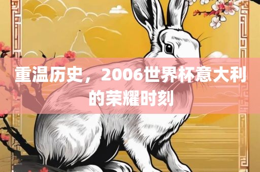 重温历史，2006世界杯意大利的荣耀时刻漯河市盈旭机械设备有限公司