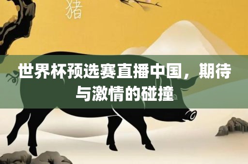 世界杯预选赛直播中国，期待与激情的碰撞