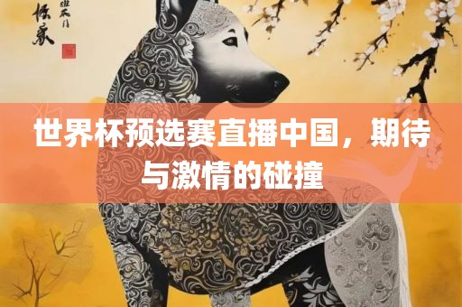 世界杯预选赛直播中国，期待与激情的碰撞